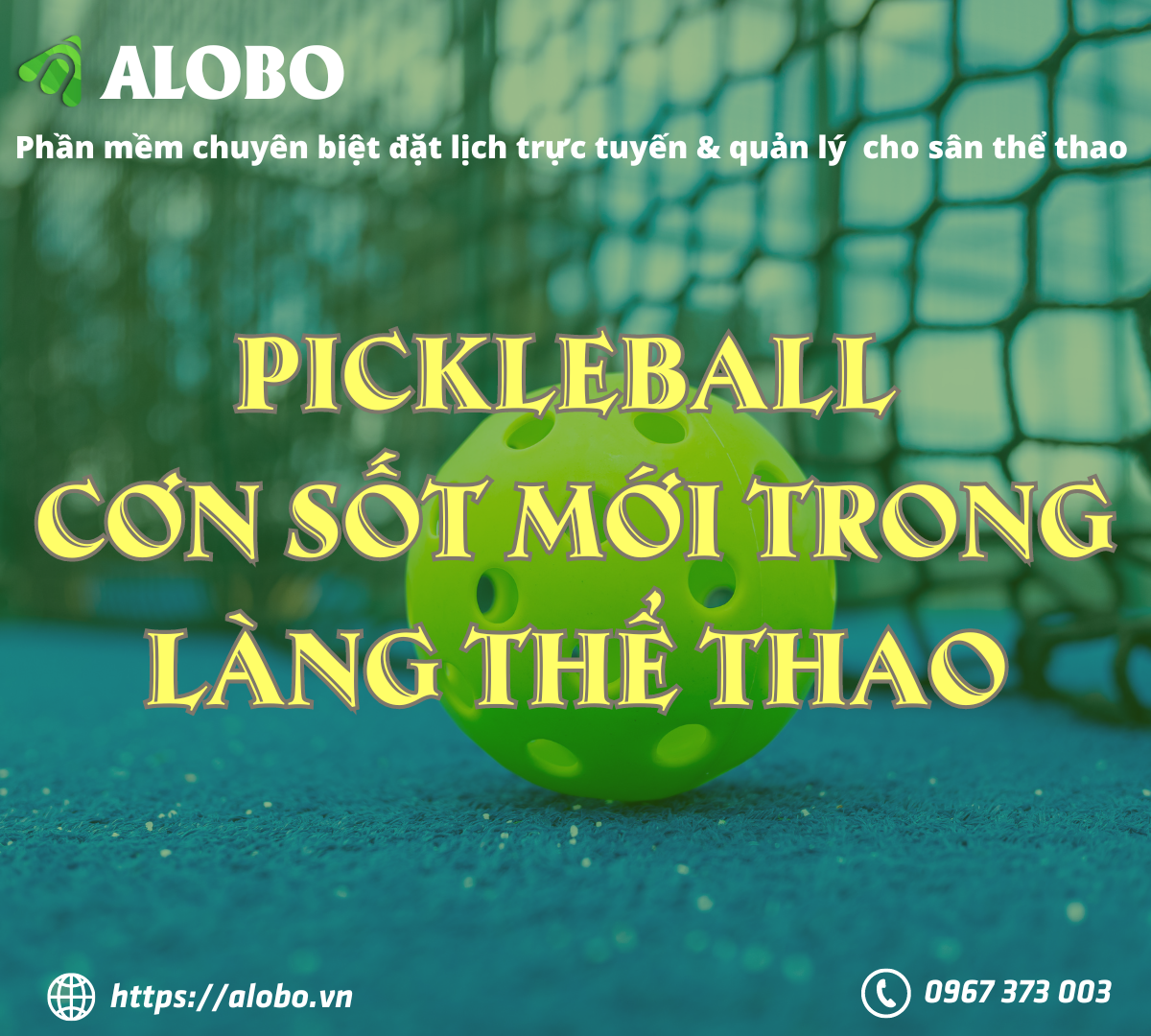 Pickleball & thể thao – “Cơn sốt” mới tại Việt Nam