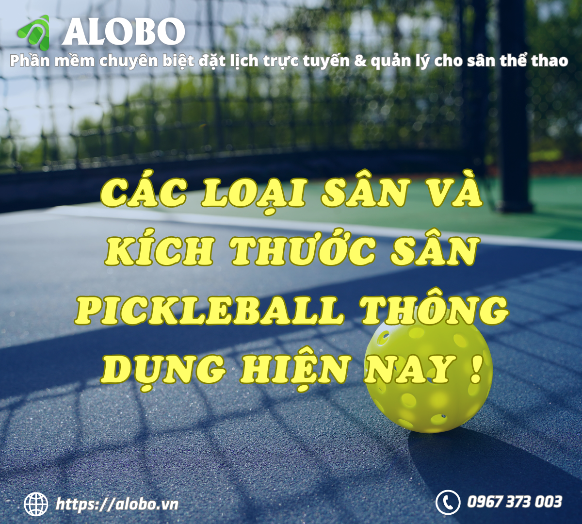 Các loại sân và kích thước sân Pickleball thông dụng hiện nay !