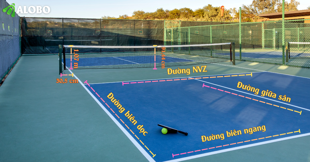 Các yếu tố trong diện tích sân Pickleball 