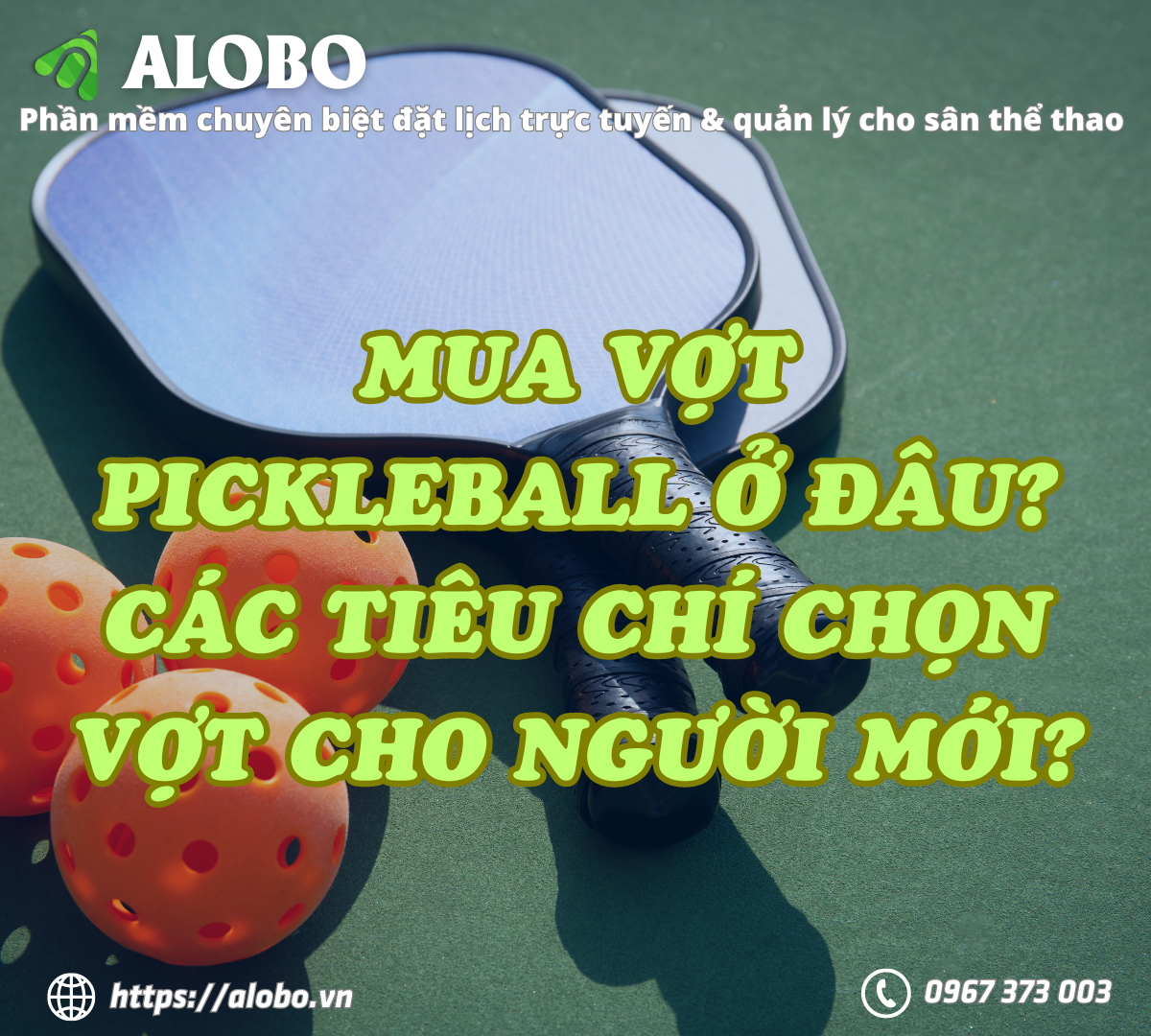 Mua vợt Pickleball ở đâu uy tín? Tiêu chí chọn vợt Pickleball cho người mới?